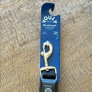 YOULY LED Dog Lead with Clip